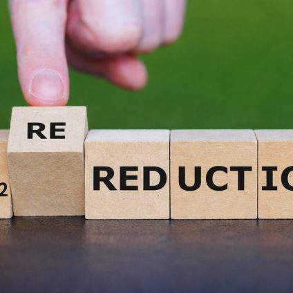 Rinnovabili • Permanent carbon removals: EU sets first standard