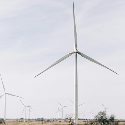 Rinnovabili • EU consults on new framework for EU 2040 renewable energy targets