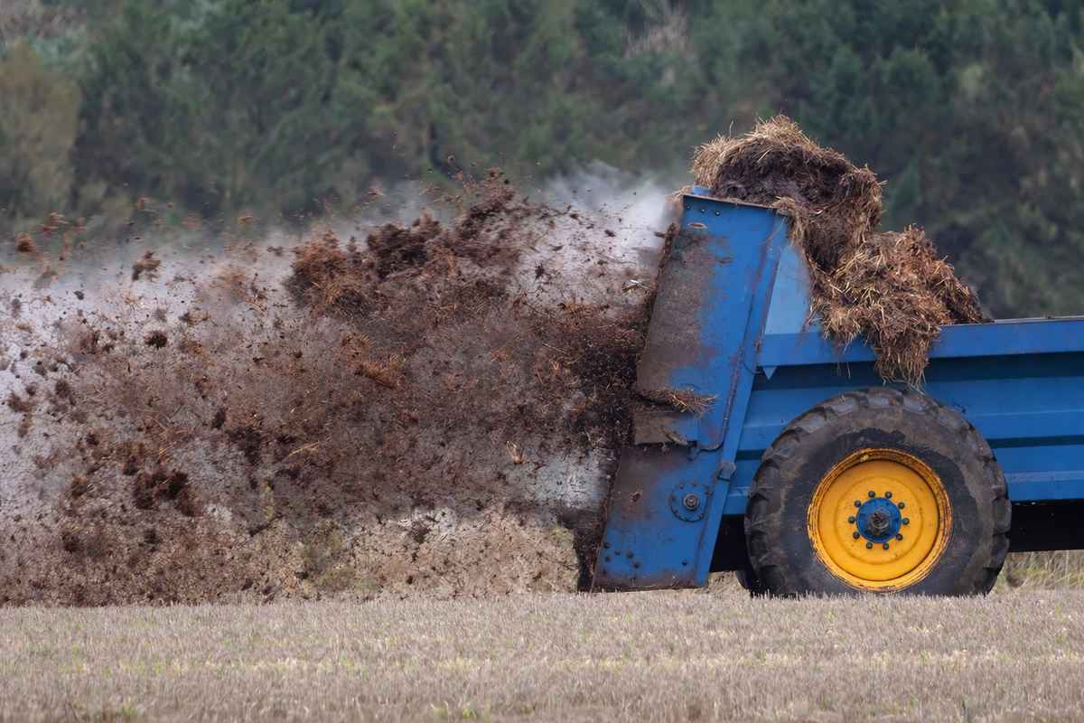 EU denies immediate CBAM suspension for imported fertilizers