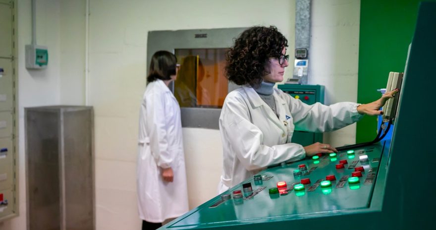 Rinnovabili • Gamma irradiation improves wheat storage safety