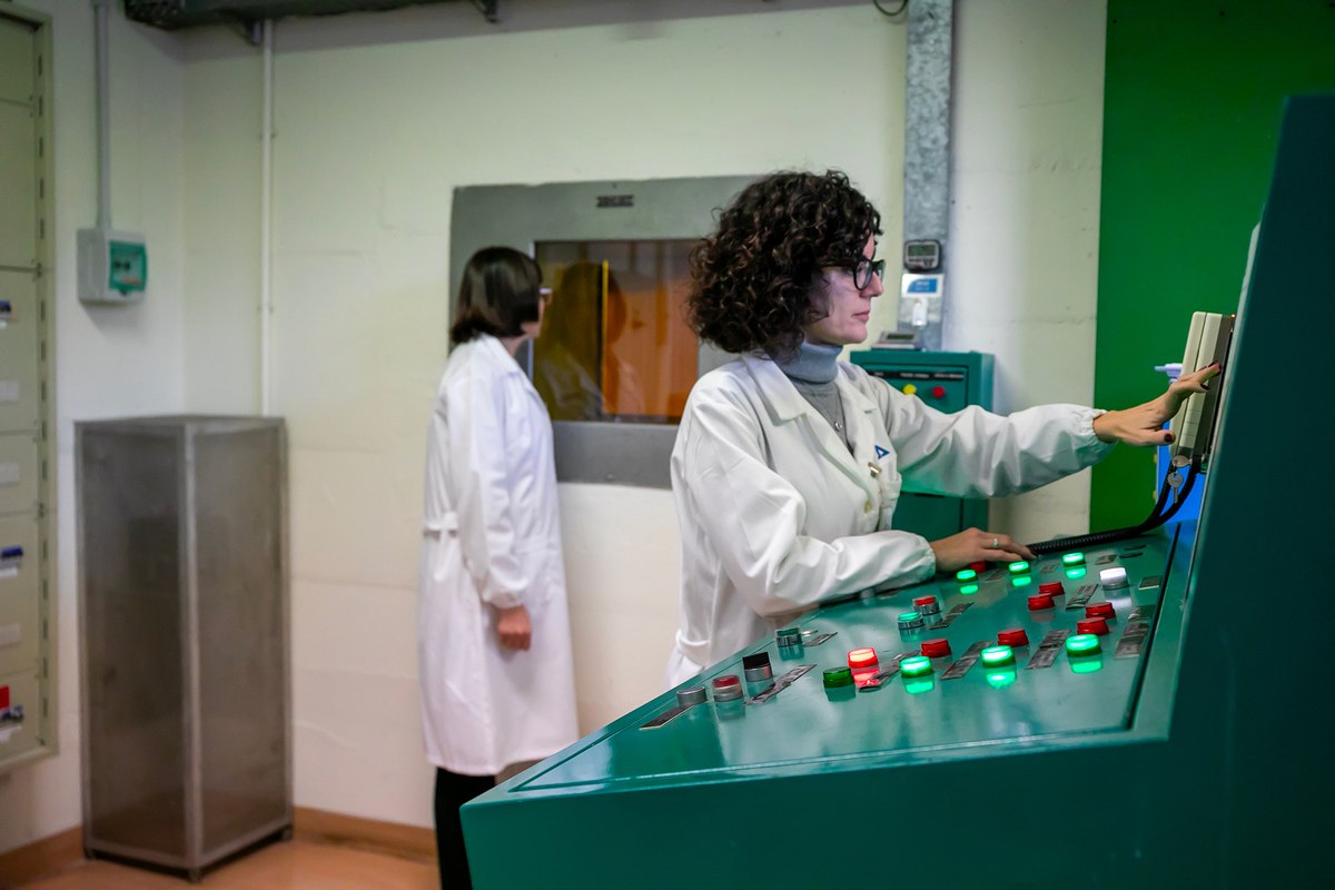 Rinnovabili • Gamma irradiation improves wheat storage safety