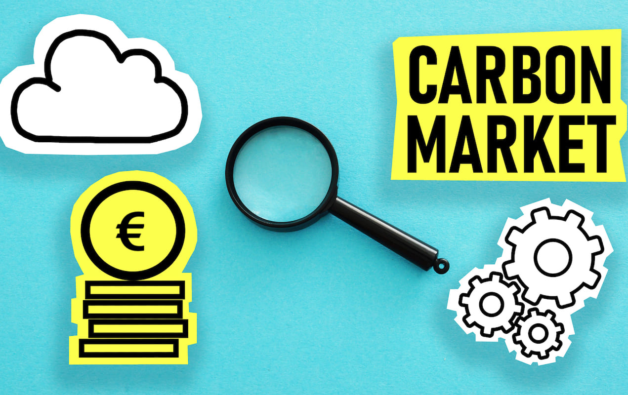 Navigating the EU ETS: policy, market, and future outlook