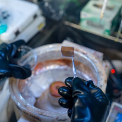 Rinnovabili • 2D perovskites: ideal band gap for tandem solar