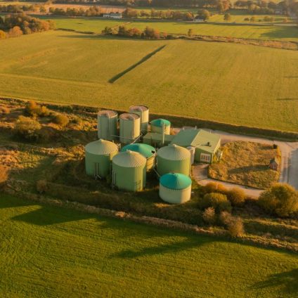Rinnovabili • EU Biomethane Market