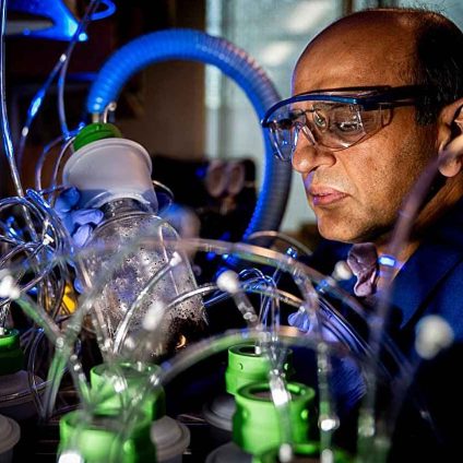 Rinnovabili • Biodegradable electronics may leave long-term environmental impacts, study finds