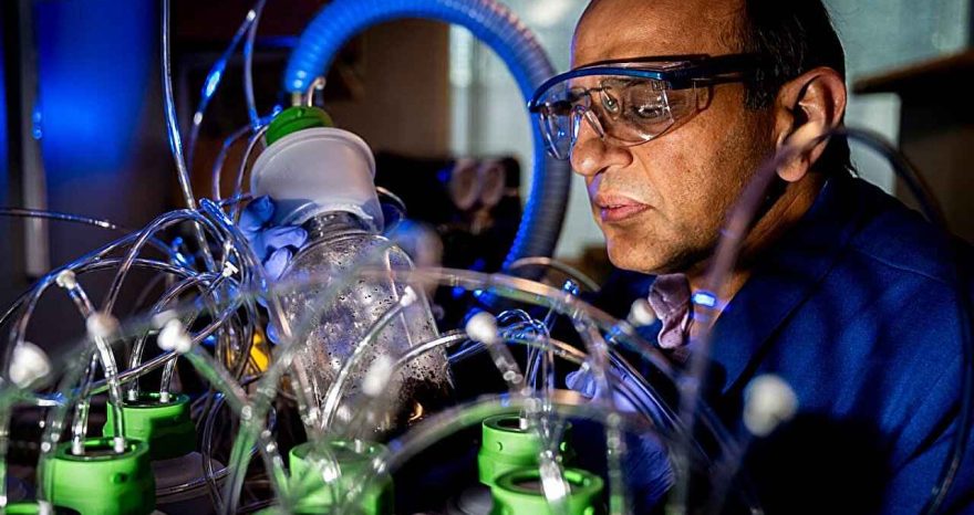 Rinnovabili • Biodegradable electronics may leave long-term environmental impacts, study finds