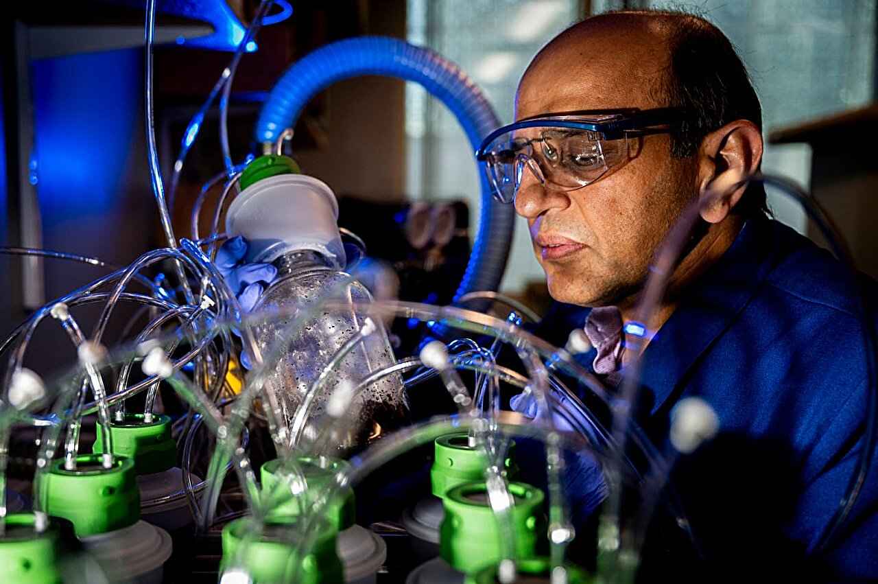 Rinnovabili • Biodegradable electronics may leave long-term environmental impacts, study finds