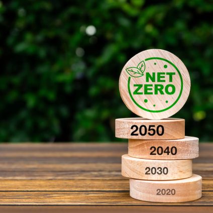Rinnovabili • eu-renewable-energy-target-2040-red-iv