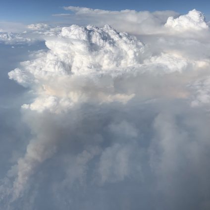 Rinnovabili • Wildfire thunderstorms what is a pyrocumulonimbus and why these fire storms are becoming more common