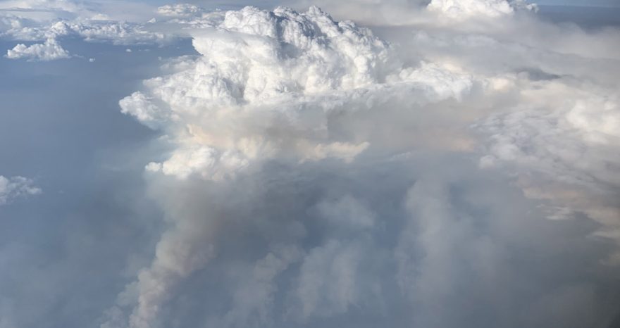 Rinnovabili • Wildfire thunderstorms what is a pyrocumulonimbus and why these fire storms are becoming more common