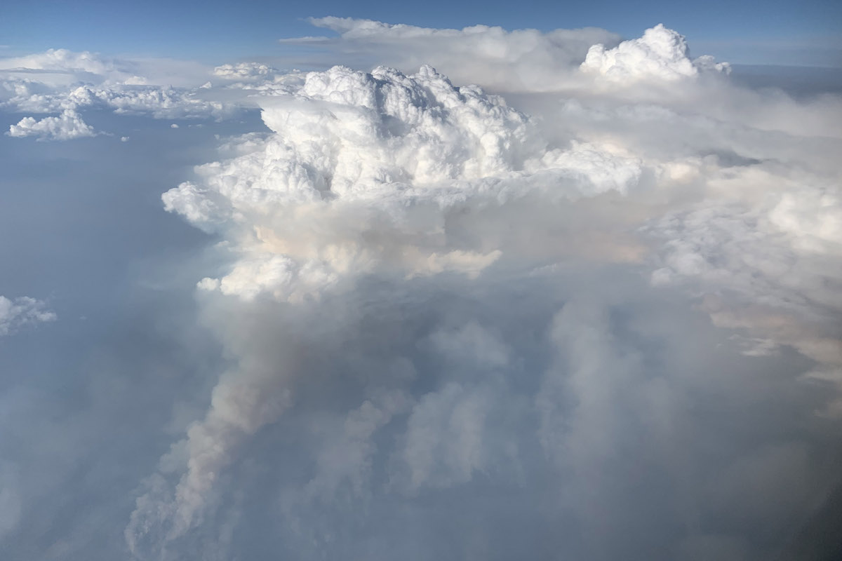 Rinnovabili • Wildfire thunderstorms what is a pyrocumulonimbus and why these fire storms are becoming more common