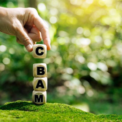 Rinnovabili • CBAM drives global carbon pricing