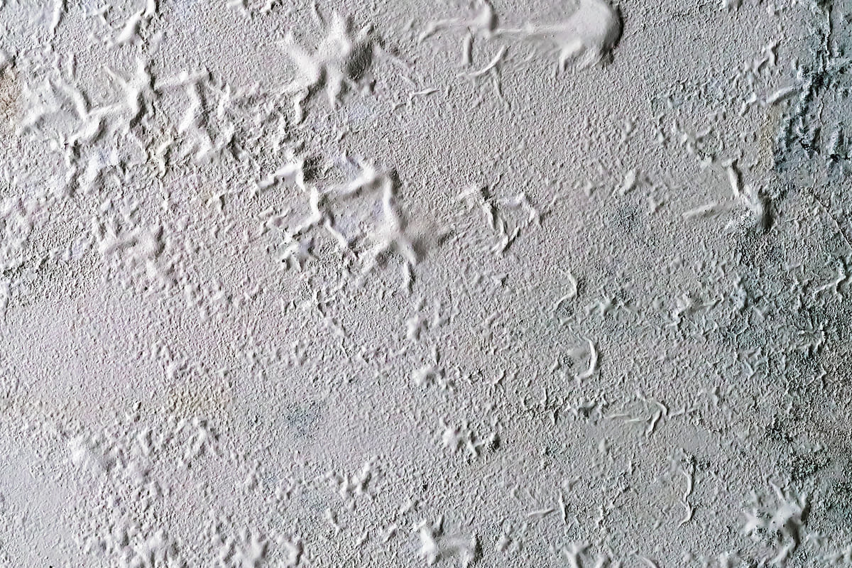 Rinnovabili • 
