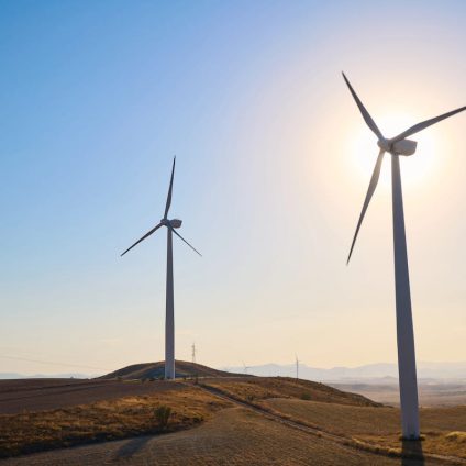 Rinnovabili • renewable-energy-directive-2040-red-iv