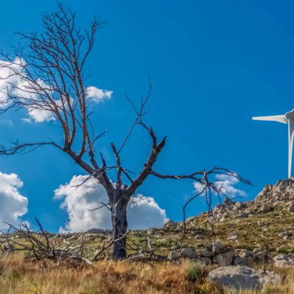Rinnovabili • REPowerEU renewable energy targets