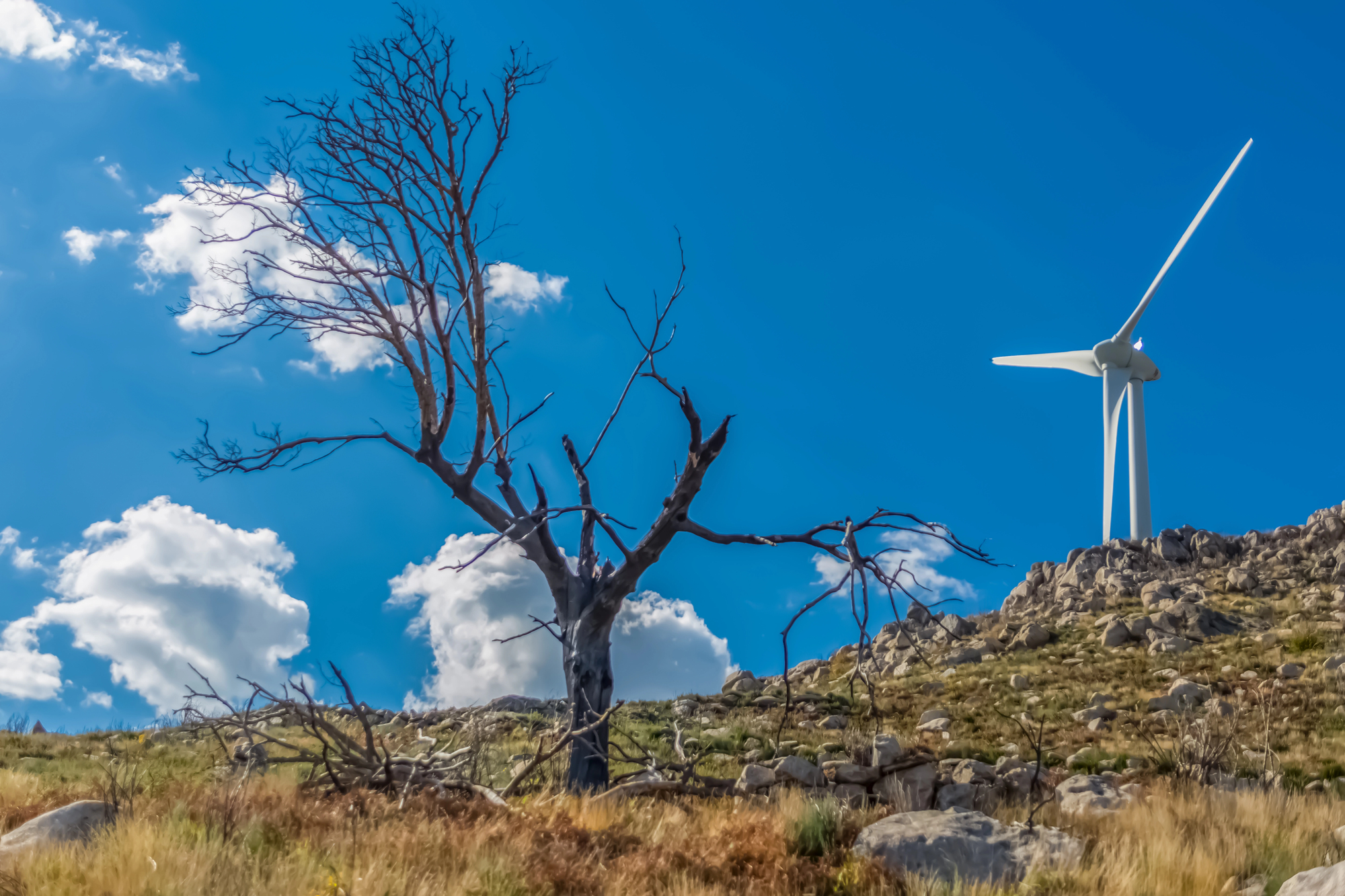 Rinnovabili • REPowerEU renewable energy targets